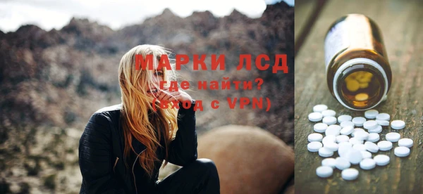 PSILOCYBIN Аркадак