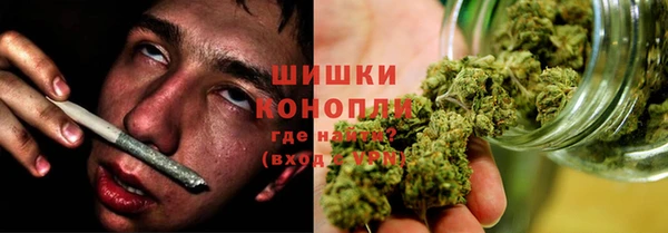 a pvp Инсар