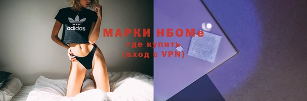 PSILOCYBIN Аркадак